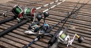 Rods & Reels